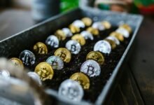 stock market investment strategies