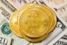 top stocks to watch